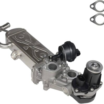 Module-EGR