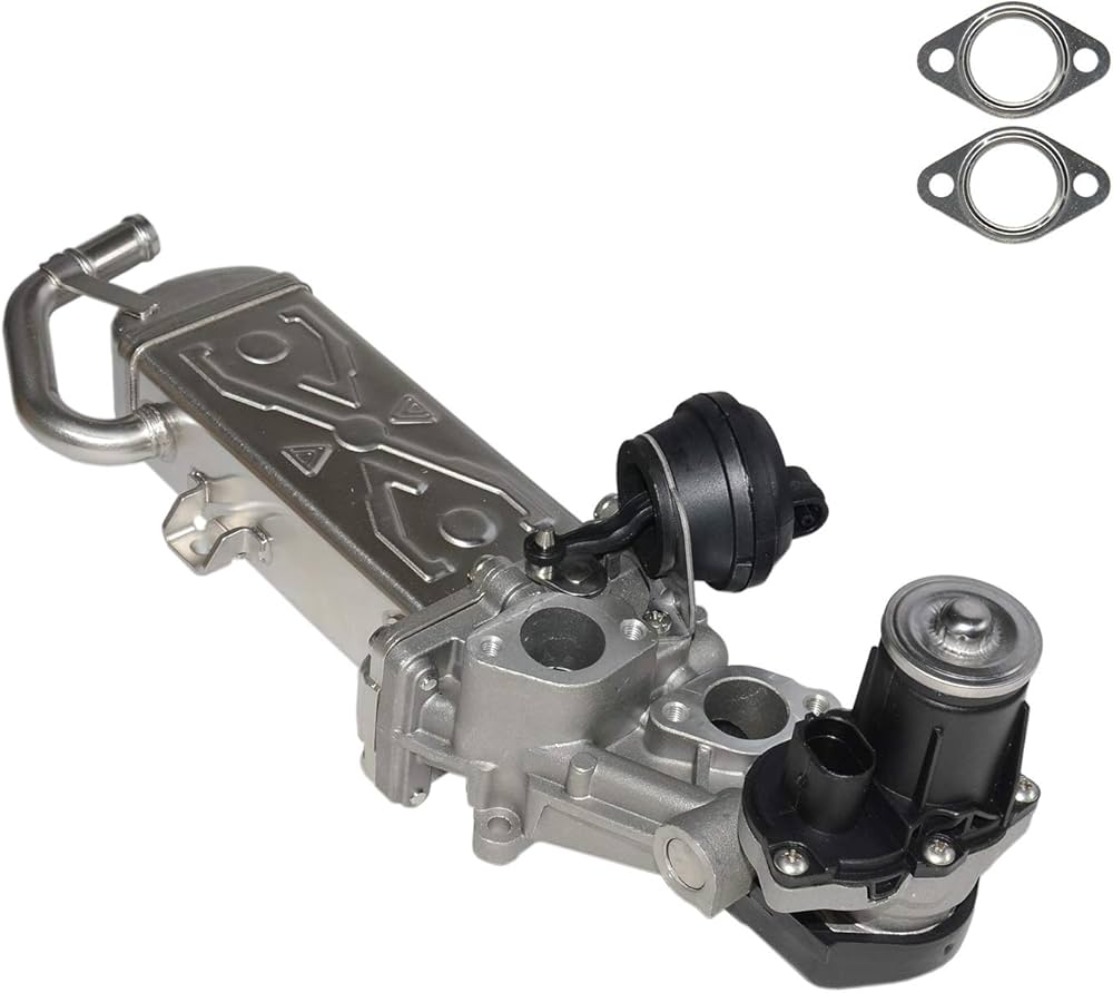 Module-EGR